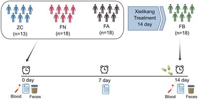 Traditional Chinese medicine (Xielikang) reduces diarrhea symptoms in acquired immune deficiency syndrome (AIDS) patients by regulating the intestinal microbiota